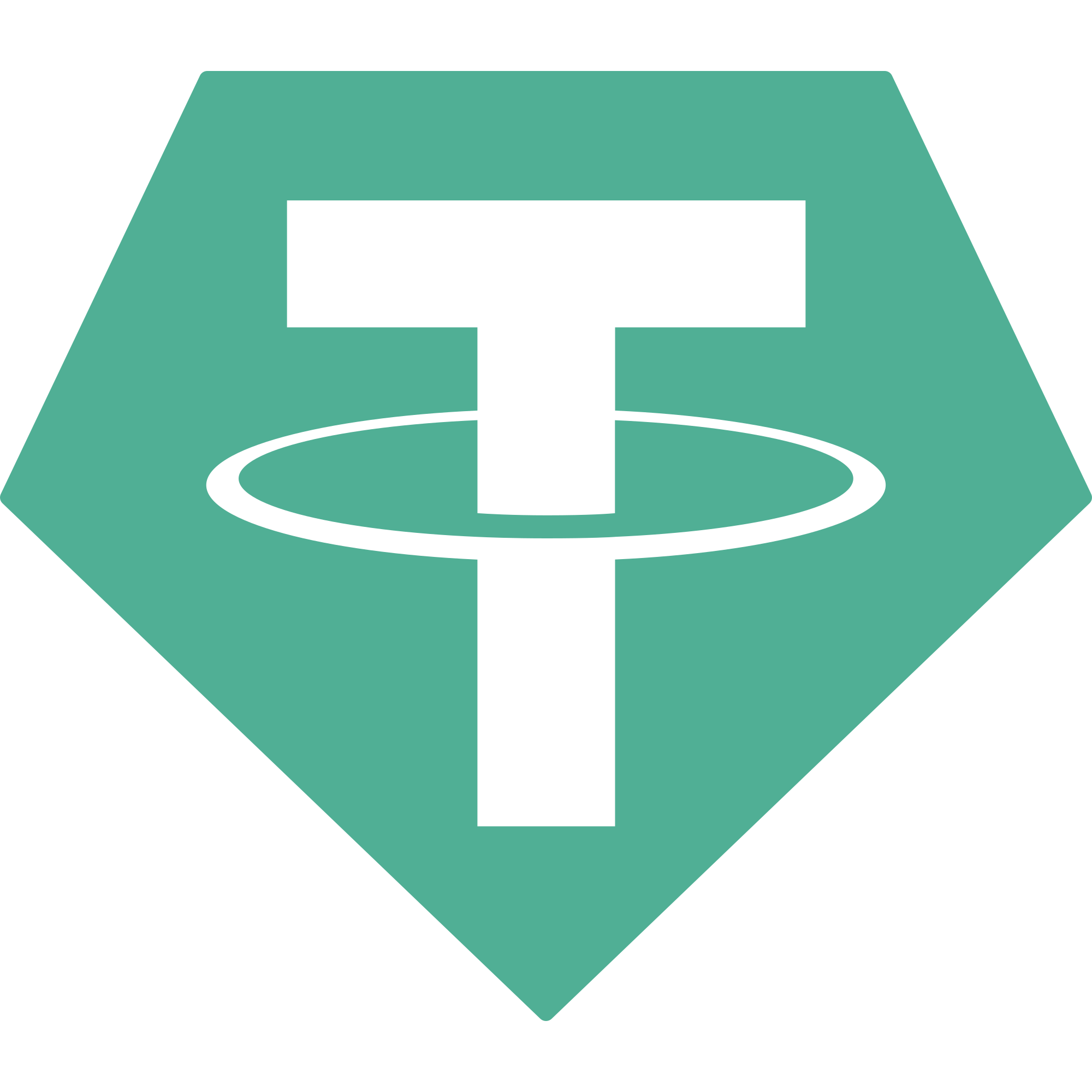 USDT icon